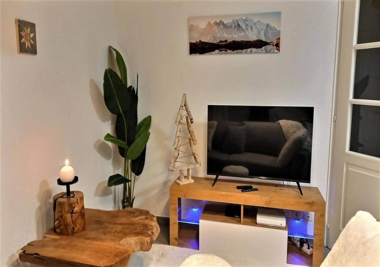 Snow Home By So'Serenityhome-Jardin-Parking-Calme Marignier Eksteriør billede